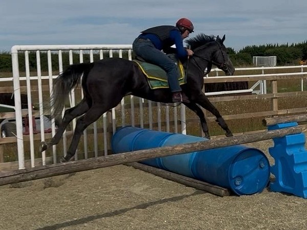 Few runners, no winners yet this week!