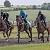 Nice runs from the yard & looking forward to Royal Ascot