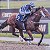 Thiscouldbefun wins at Lingfield & Blacktype for Ourbren