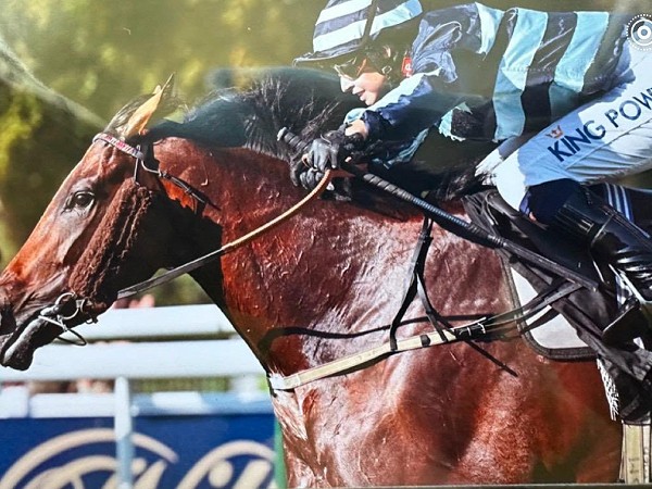 Horses running well